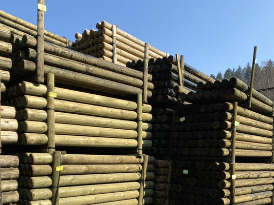 Palisaden kesseldruck imprägniert